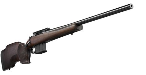 308 to be able to shoot up . . Cz 557 varmint 308 review